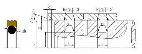 孔用旋轉格萊圈DNS截面結構圖