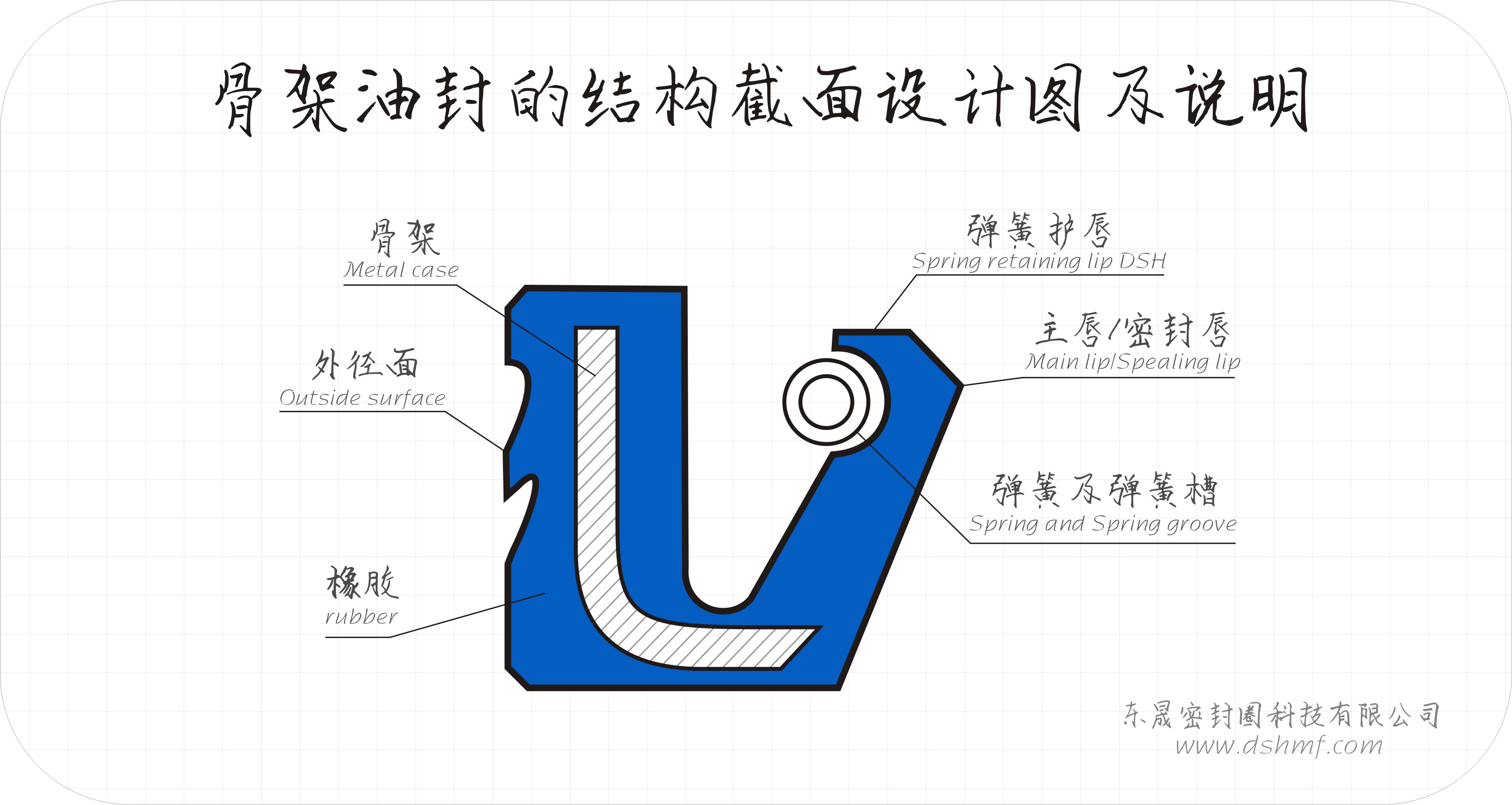 骨架油封截面設計平面圖