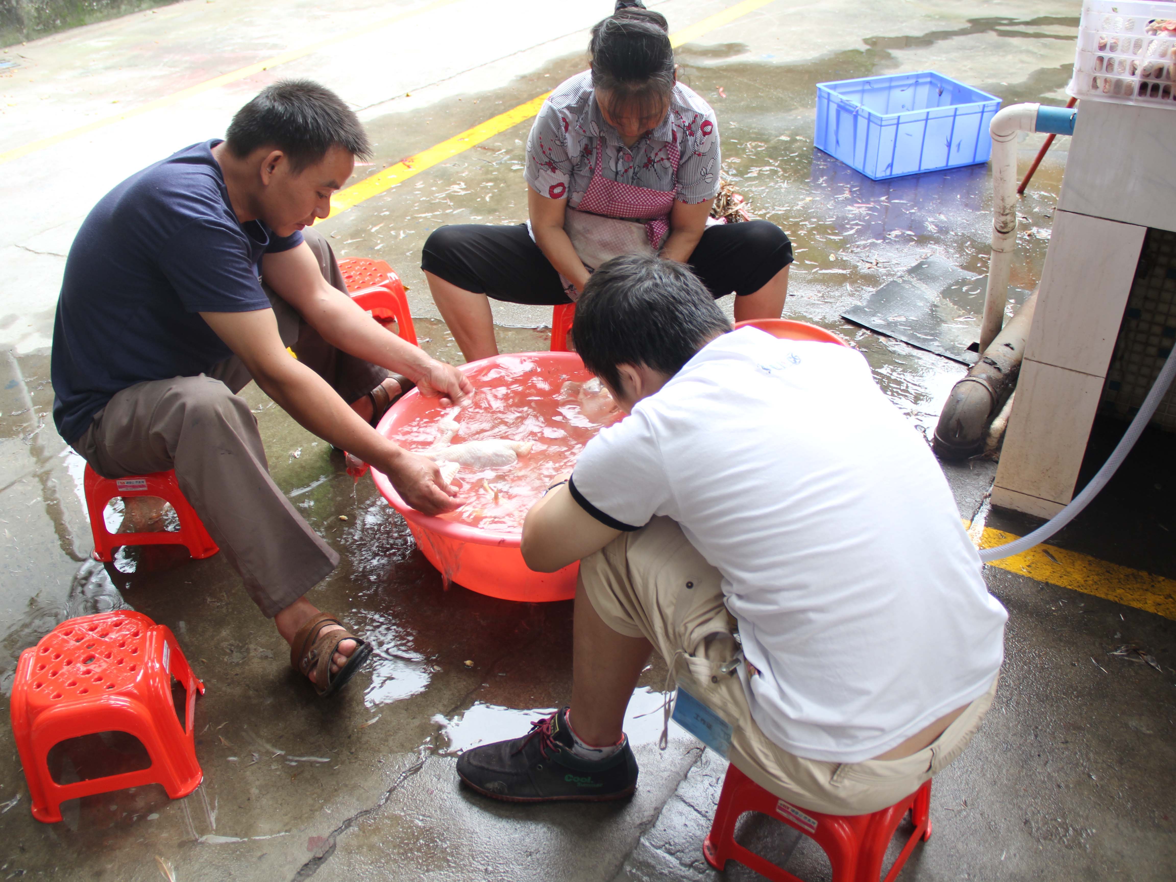東晟密封 東晟密封