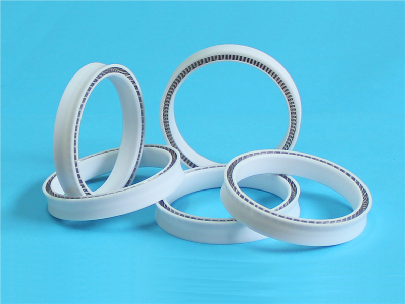 密封圈，泛塞封