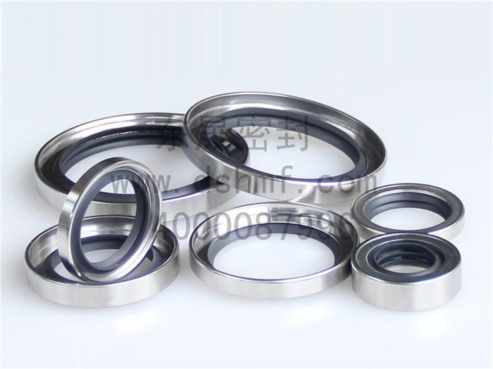 不銹鋼金屬油封密封件產品 不銹鋼金屬油封密封件產品