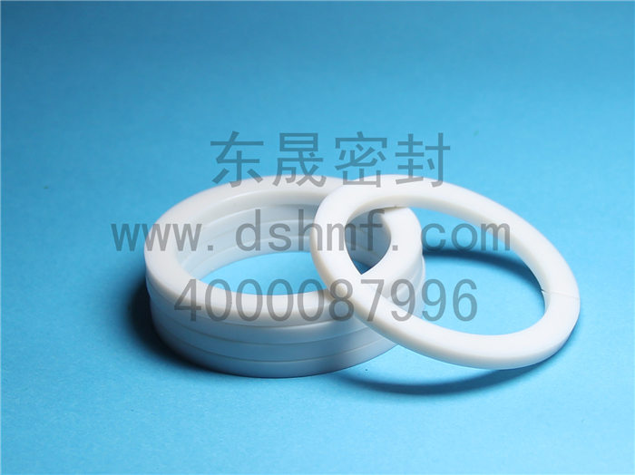 輔助密封件產品，擋圈