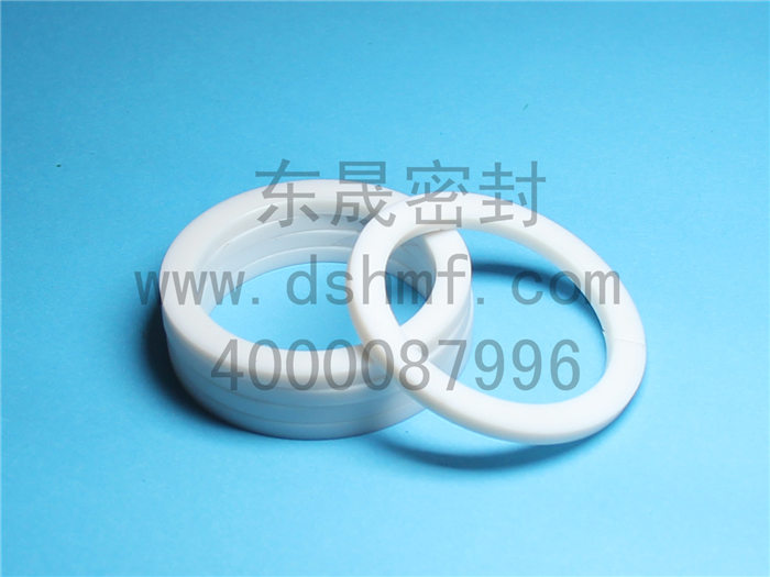 PTFE,墊片,密封件產品 PTFE,墊片,密封件產品