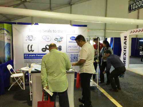 11我們《東晟密封》的Shirmey xu mm正在專業的向客人講解。