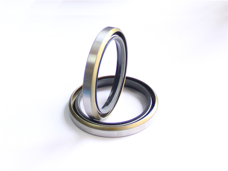 不銹鋼油封,密封件產品 不銹鋼油封,密封件產品