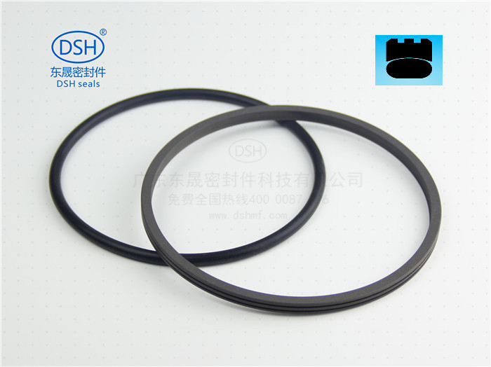 孔用旋轉格萊圈,格萊圈