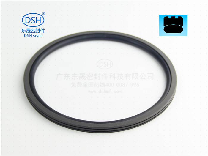 孔用旋轉格萊圈,旋轉格萊圈,格萊圈