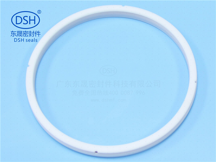 泛塞封,密封件,密封圈,泛塞密封圈 泛塞封,密封件,密封圈,泛塞密封圈