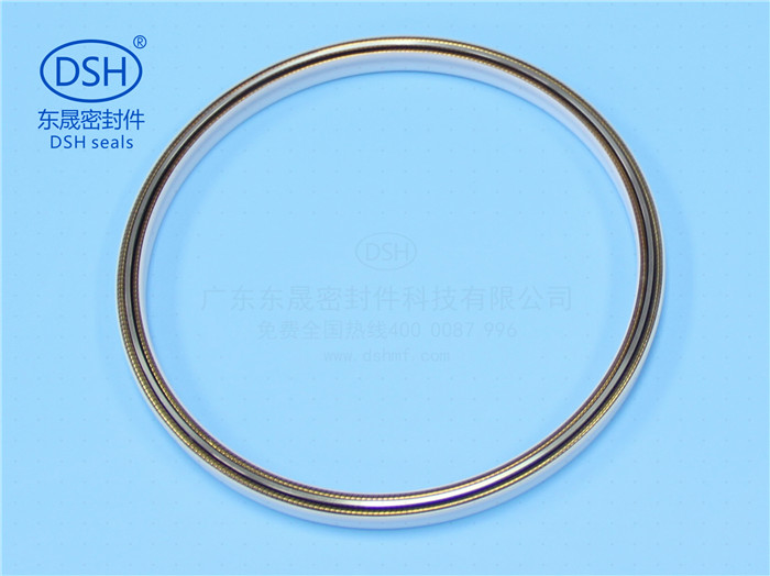 泛塞封,泛塞密封圈,泛塞封廠家 泛塞封,泛塞密封圈,泛塞封廠家