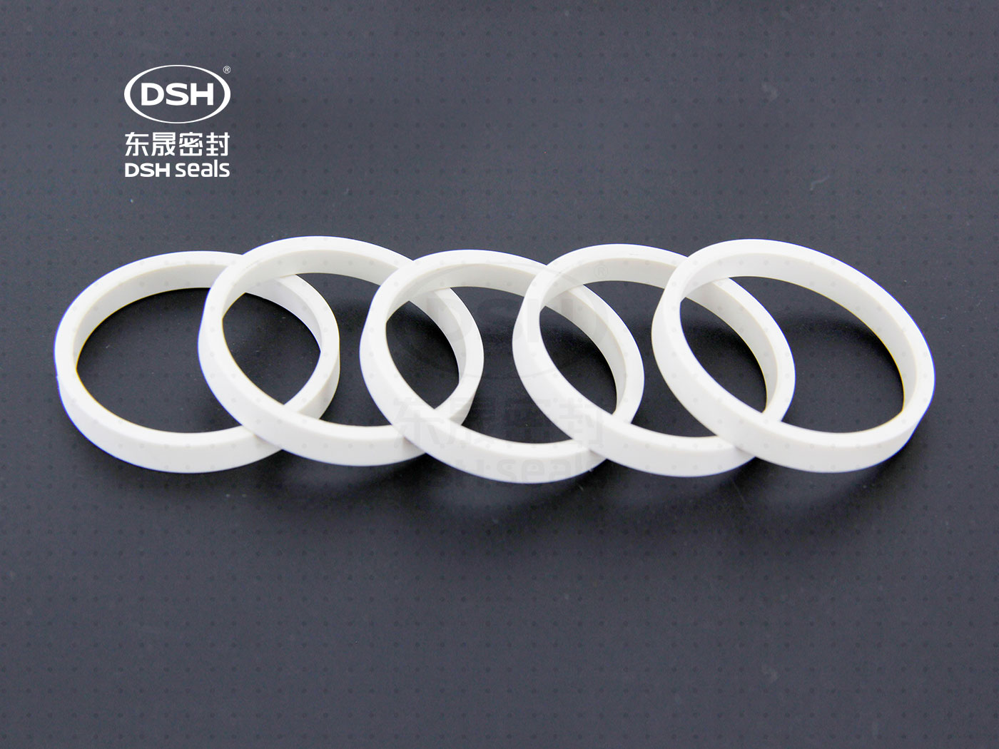 工程塑膠導向環（高溫導向密封環）