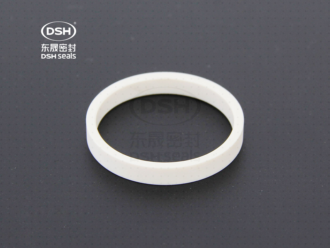 工程塑膠導向環（高溫導向密封環）