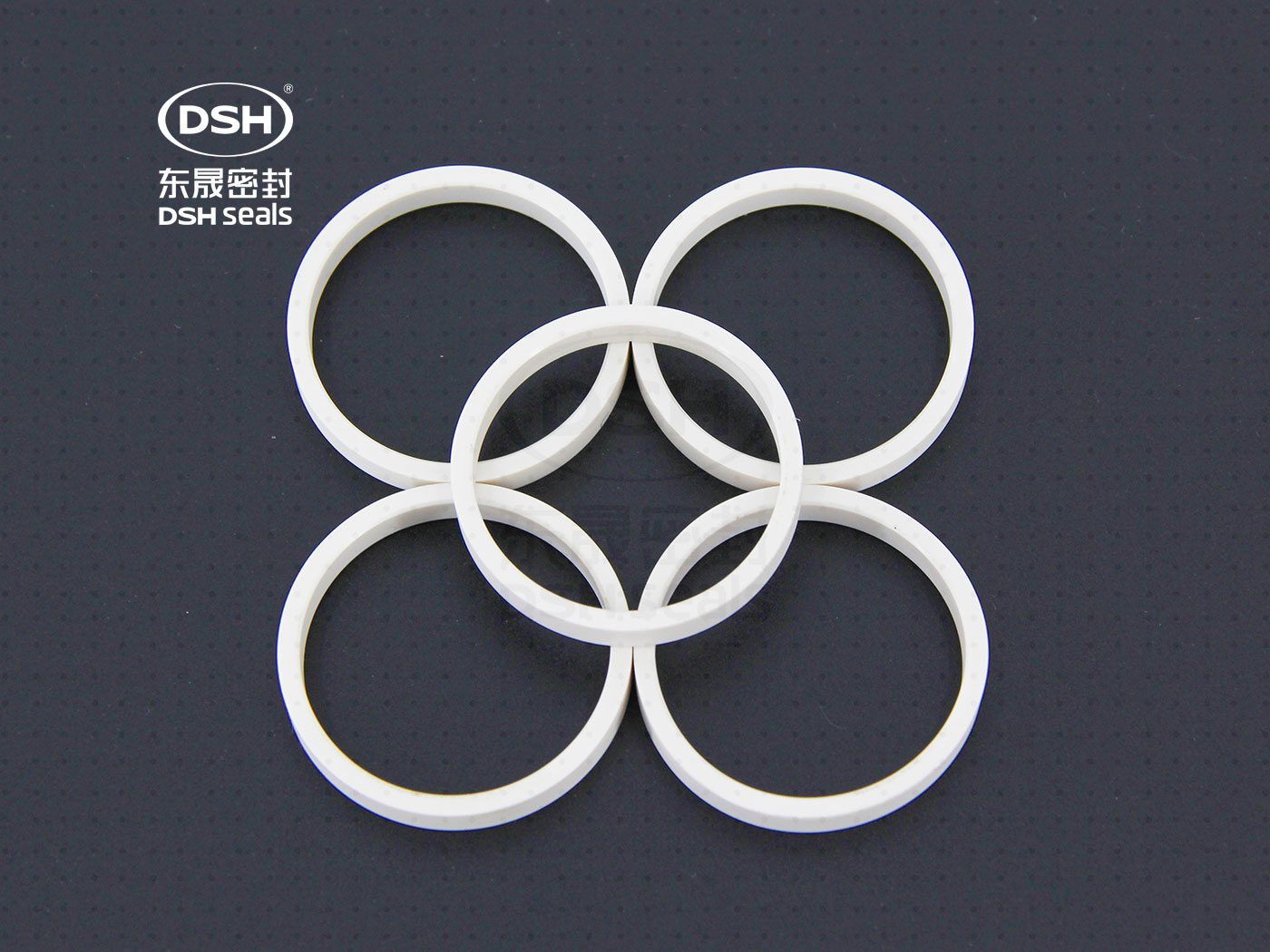 工程塑膠導向環（高溫導向密封環）