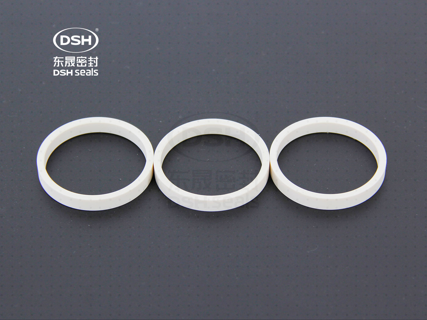 工程塑膠導向環（高溫導向密封環）