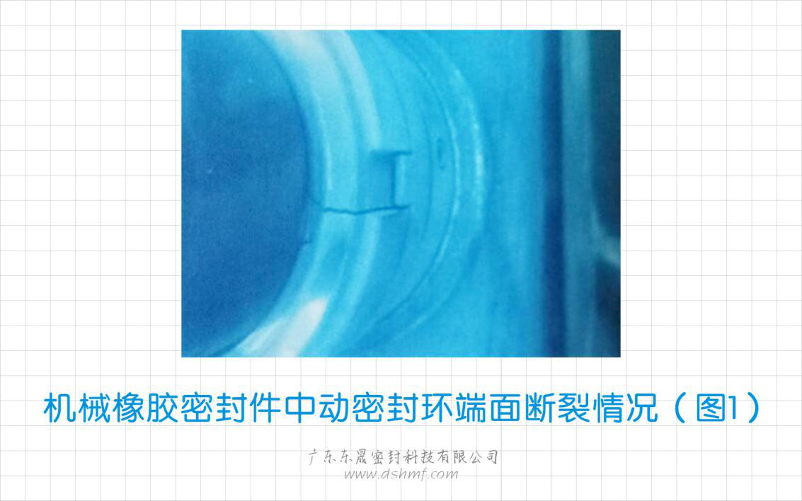 橡膠密封圈中動密封環端面斷裂情況（圖1）