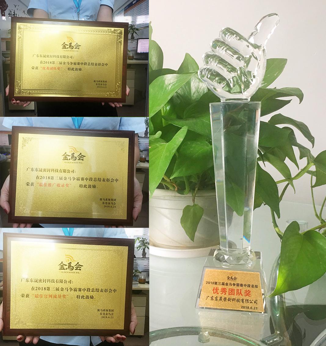 東晟密封件公司獲得了三個獎項：“優(yōu)秀團隊獎”、“最佳官網(wǎng)流量獎”、“最佳推廣收錄獎”
