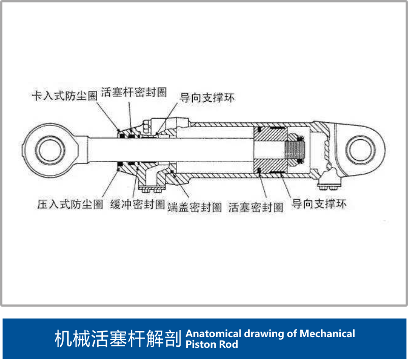 機械活塞桿解剖 機械活塞桿解剖