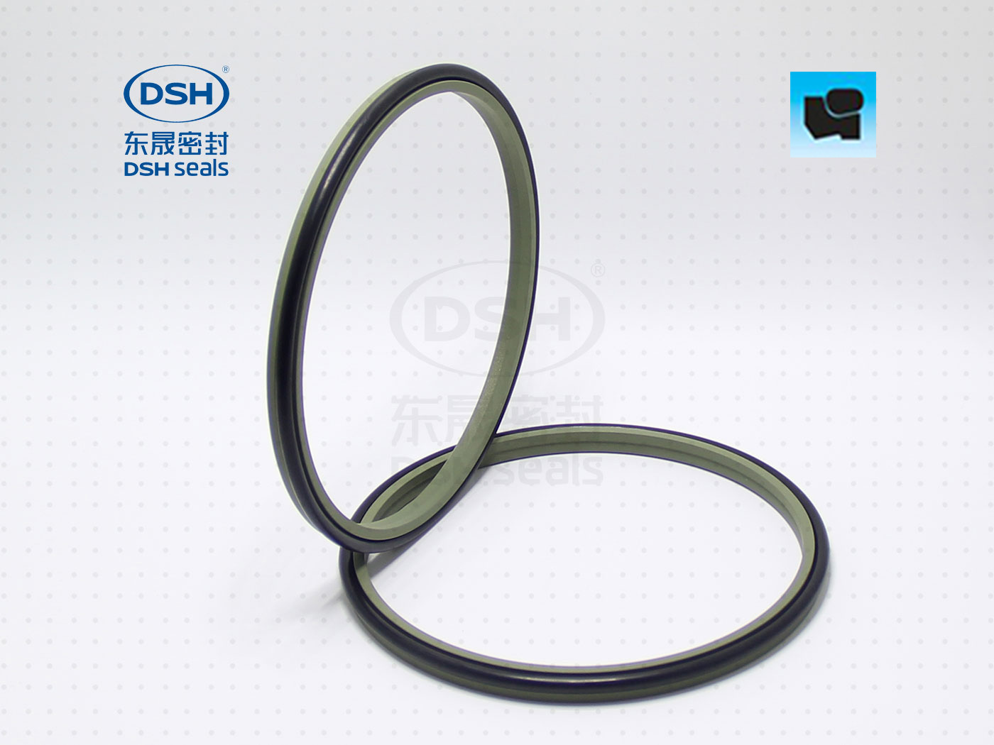 組合防塵圈DSZ - 防塵圈系列,聚四氟乙烯密封件,應(yīng)用于油缸/氣缸行業(yè)專用密封件圈。