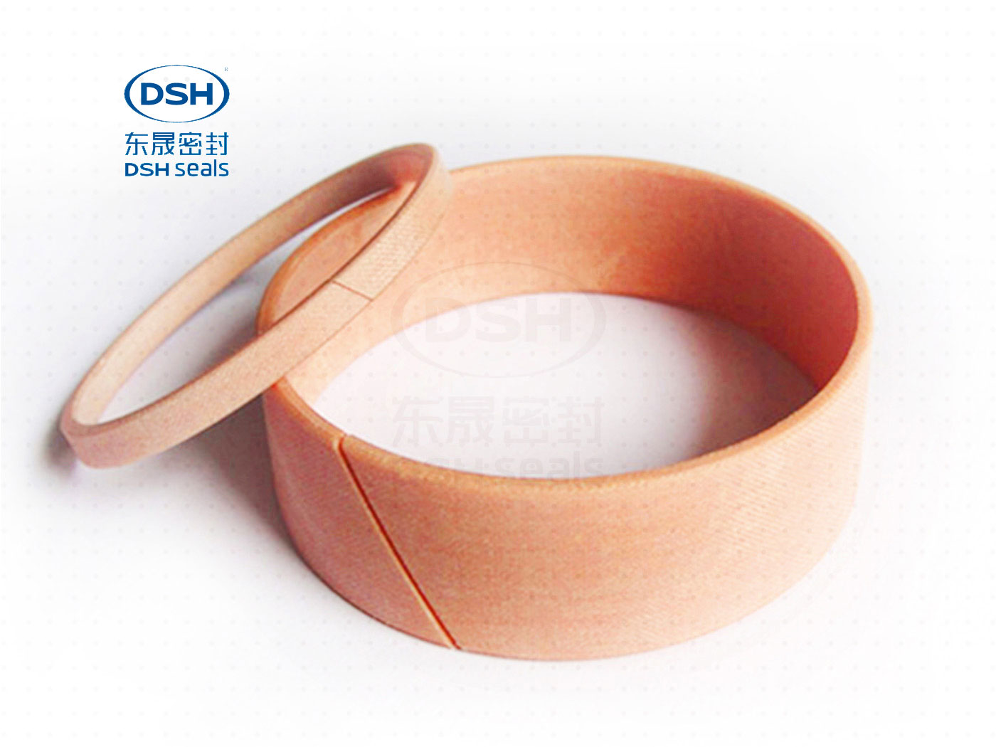 導(dǎo)向環(huán)DST3 導(dǎo)向環(huán)DST3