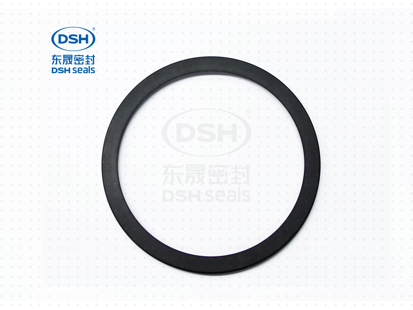 泛塞密封圈  泛塞密封圈（泛塞封密封圈） - 密封圈，泛塞封應用！怕漏洞，裝東晟油封！