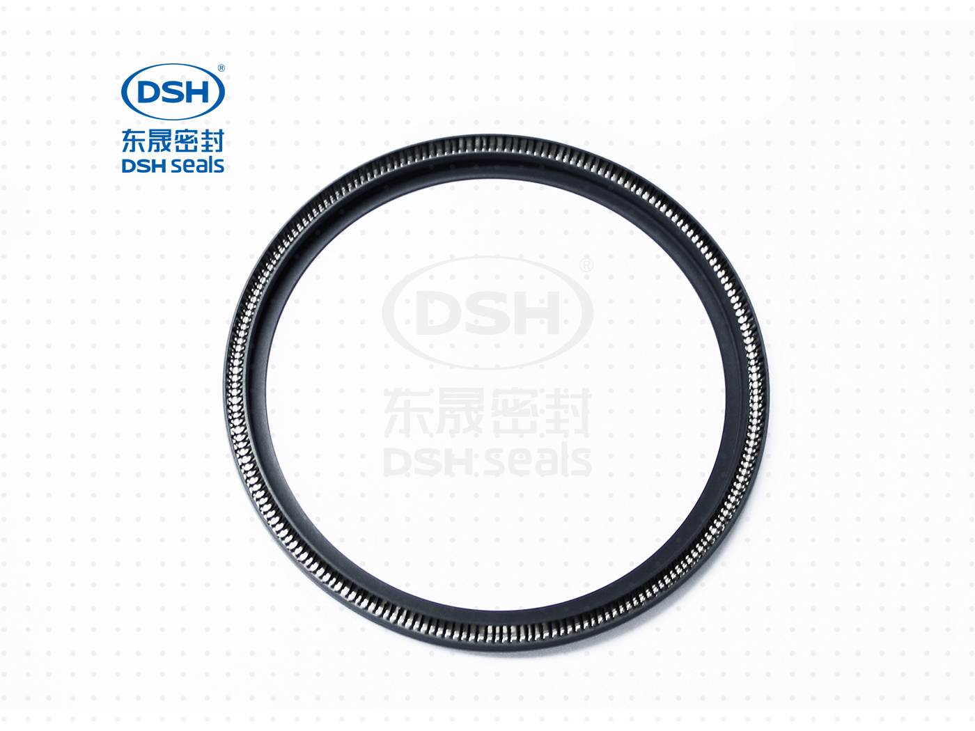 泛塞密封圈  泛塞密封圈（泛塞封密封圈） - 密封圈，泛塞封應用！怕漏洞，裝東晟油封！