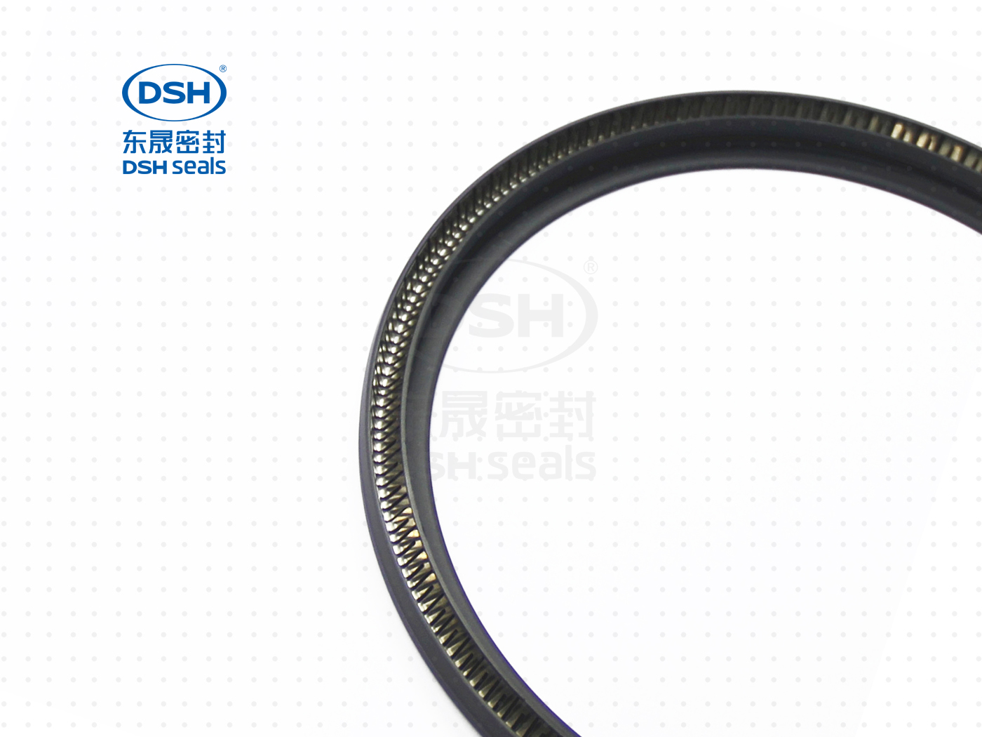 泛塞密封圈  泛塞密封圈（泛塞封密封圈） - 密封圈，泛塞封應用！怕漏洞，裝東晟油封！