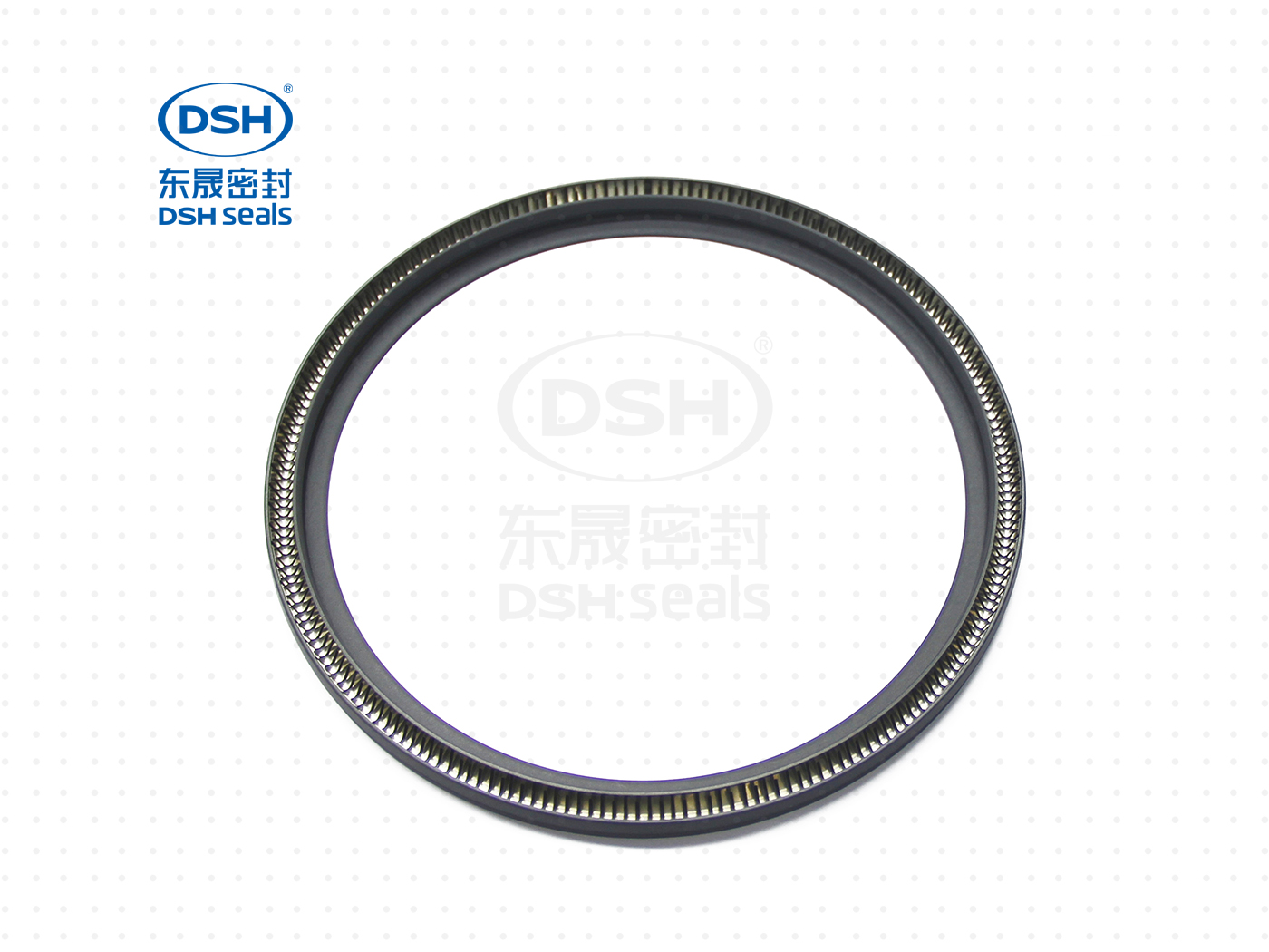 泛塞密封圈  泛塞密封圈（泛塞封密封圈） - 密封圈，泛塞封應用！怕漏洞，裝東晟油封！