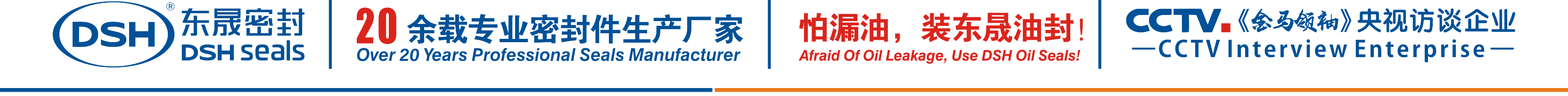 怕漏油，裝東晟油封！