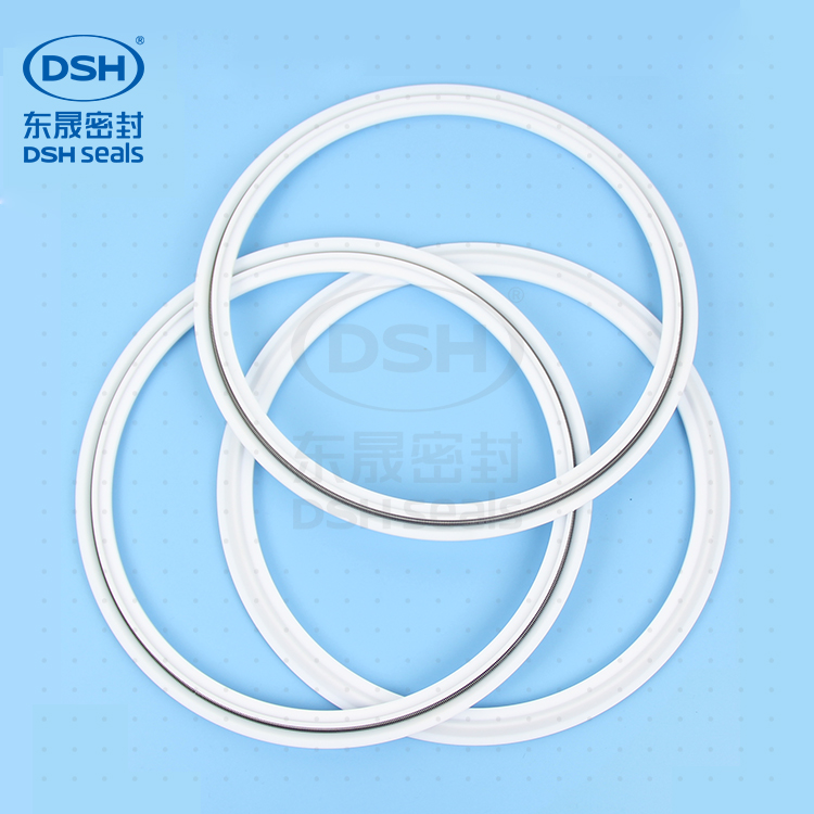 彈簧四氟密封環