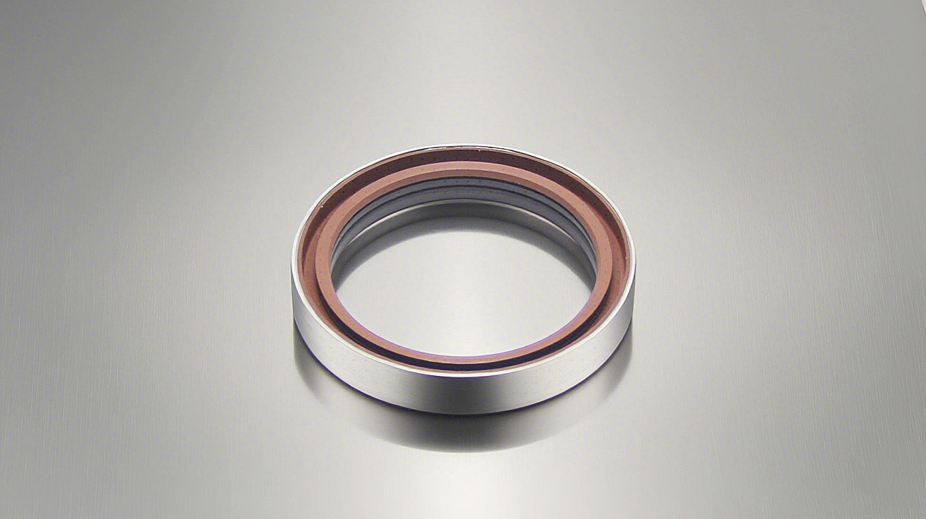 氟橡膠骨架油封---一種由氟橡膠密封材質制成的骨架型油封密封件，廣泛應用于各大行業中，如化工行業等