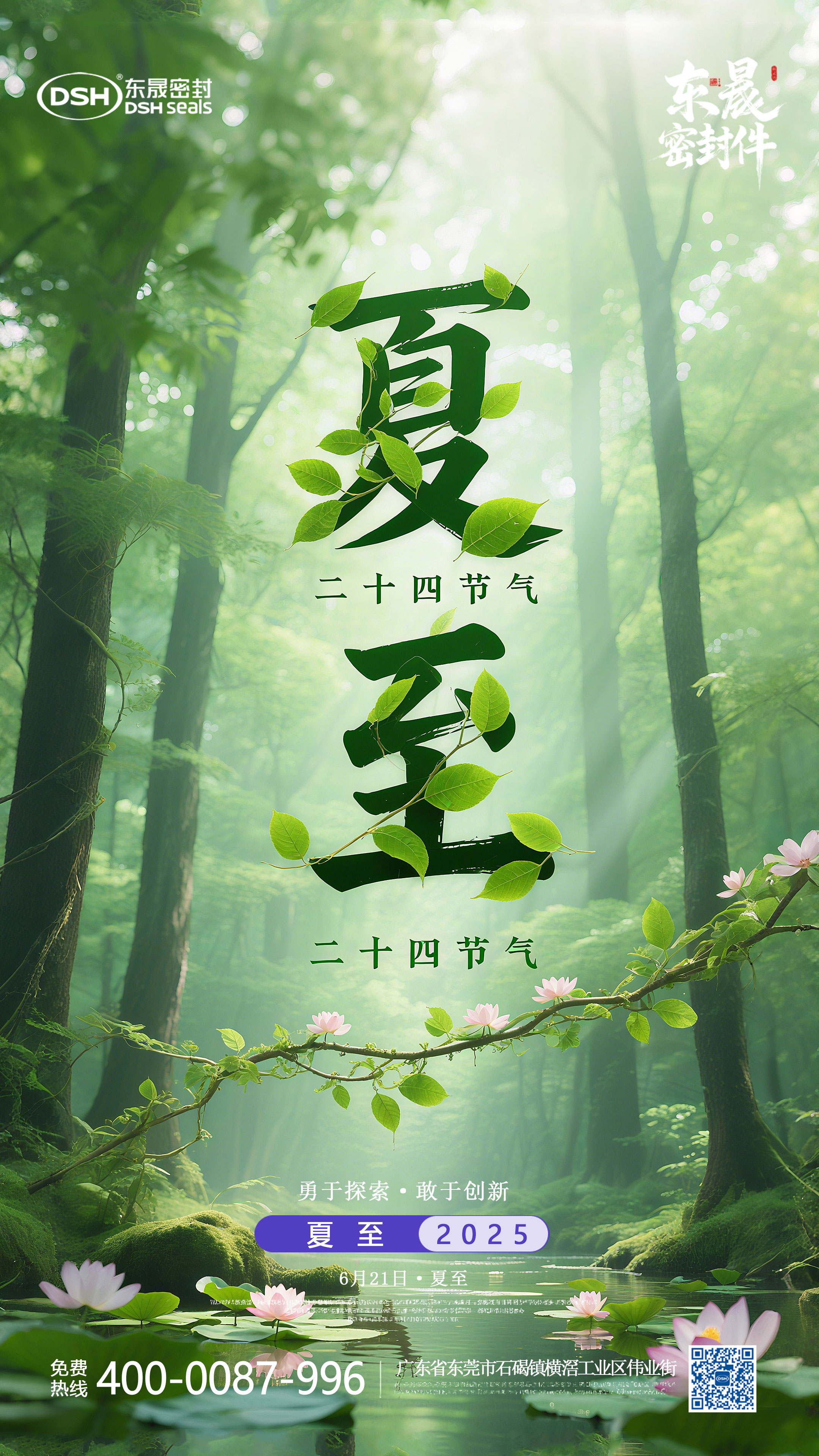 夏至節氣2025年6月21日二十四節氣-東晟密封件-(2)-副本11