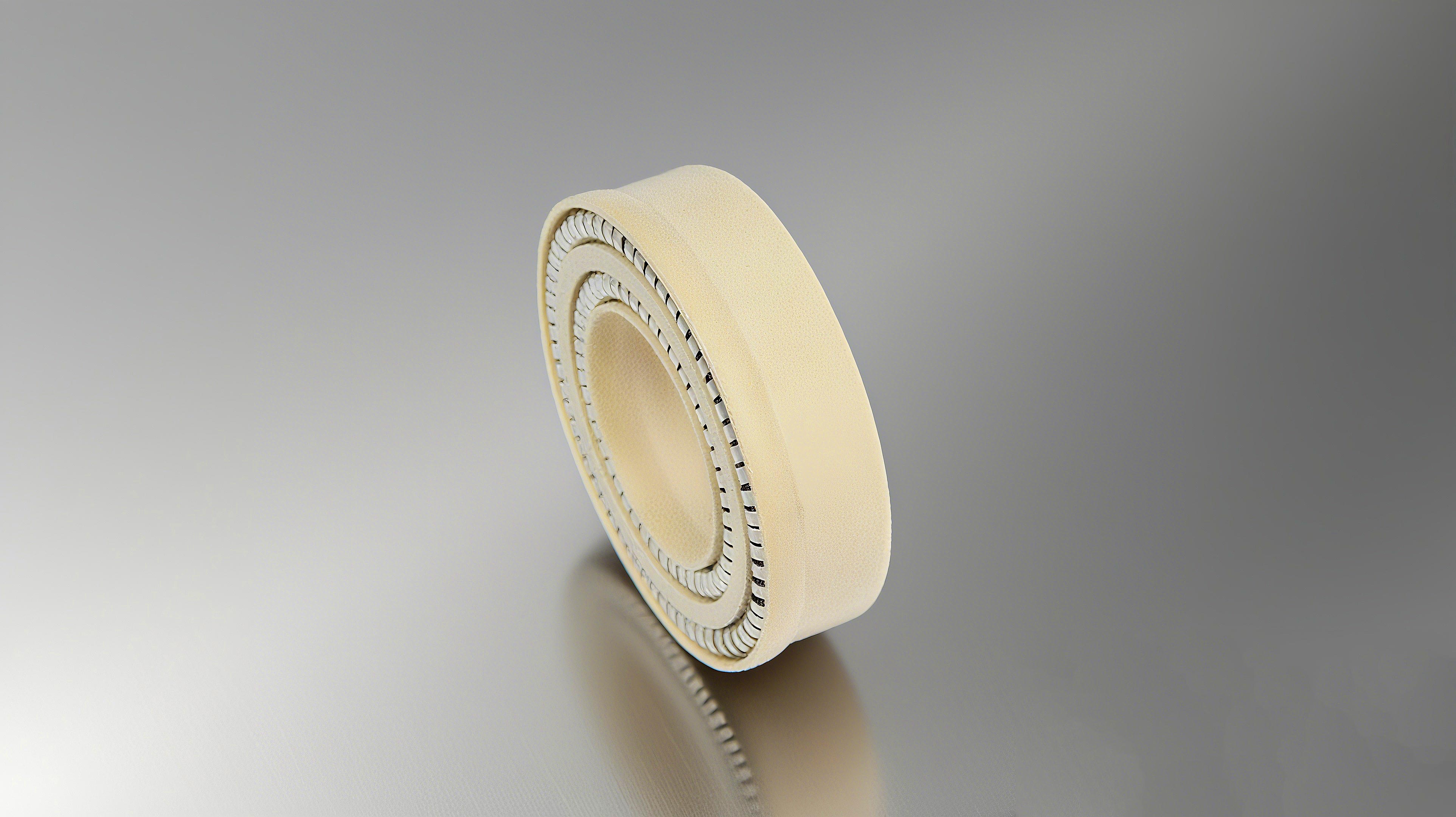 ?雙彈簧泛塞封2