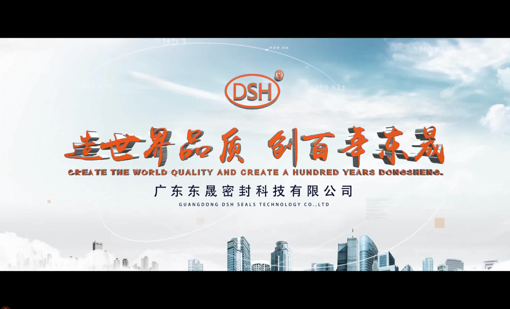 東晟密封公司（dsh）展示實力的企業宣傳片