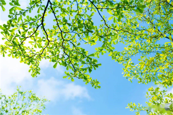 東晟密封與你一起歡度端午佳節