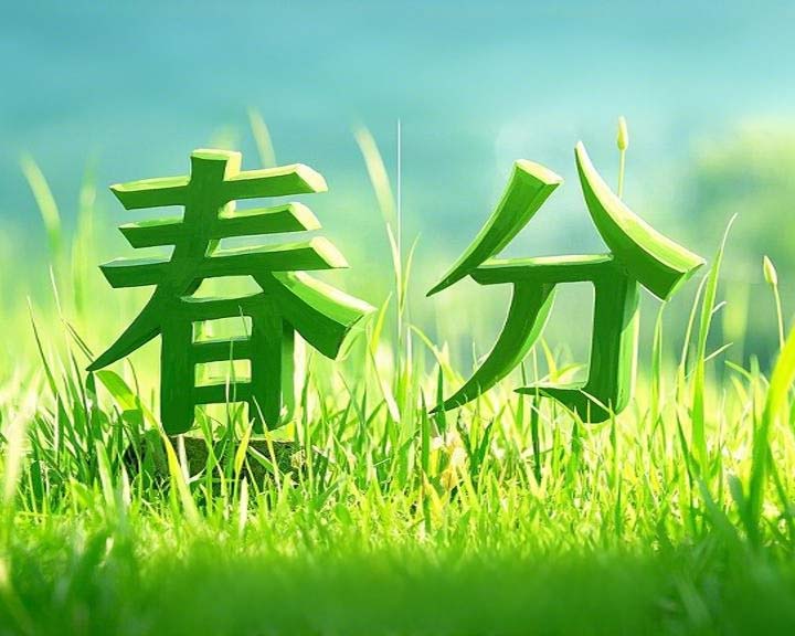 春分啟衡·東晟智封丨0.01毫米的陰陽相濟之道!