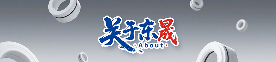 密封件,密封件公司,油封生產廠家,密封件生產廠家,密封圈生產廠家 - 廣東東晟密封科技有限公司123