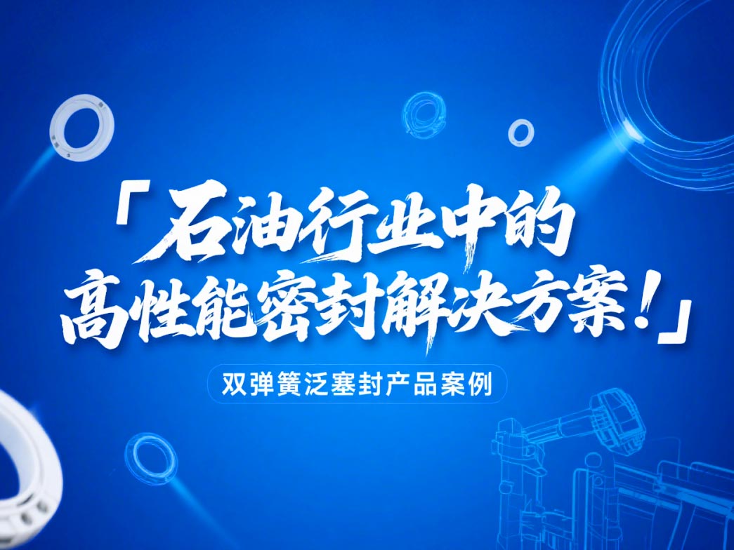 ?雙彈簧泛塞封產品案例 ? 石油行業中的高性能密封解決方案!?