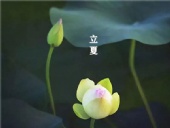 立夏已至，萬物向陽；