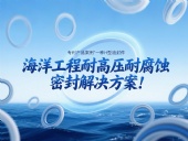 專利產品案例 ? 一種H型油封件：海洋工程耐高壓耐腐蝕的密封解決方案！